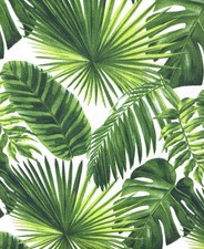 Foglie di palma giungla