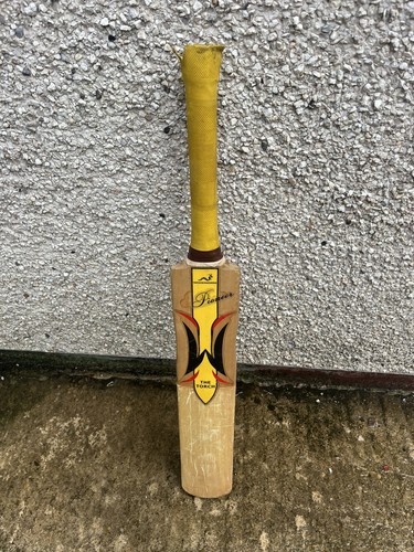 Woodworm the torch pioneer - woodworm,