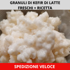 10 GRAMMI DI KEFIR DI LATTE