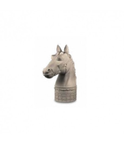 Testa cavallo baci - cavallo,