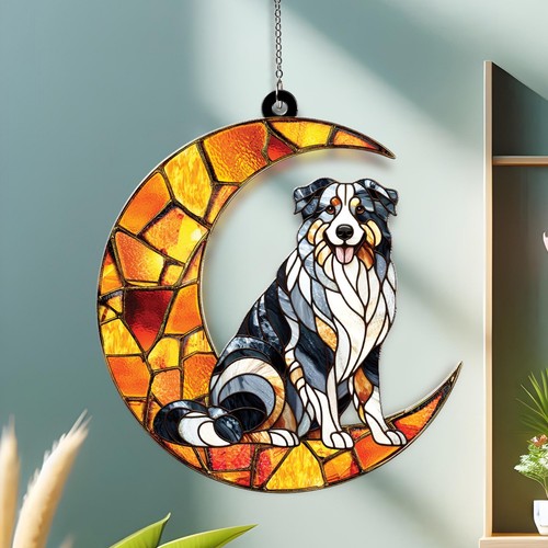 Pastore australiano luna cane