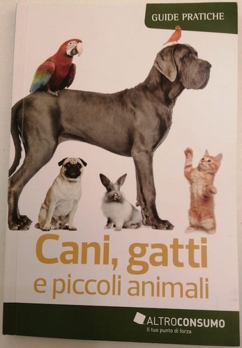 Cani gatti piccoli animali - gatti,