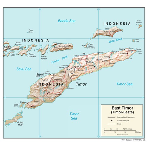 Stampa poster timor est - timor,