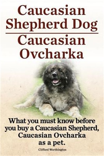 Caucasian shepherd dog - shepherd,
