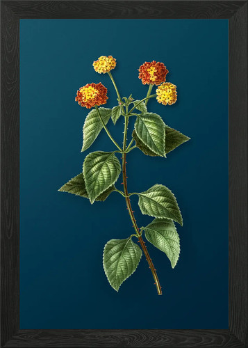 Quadro stampa tela poster - stampa,