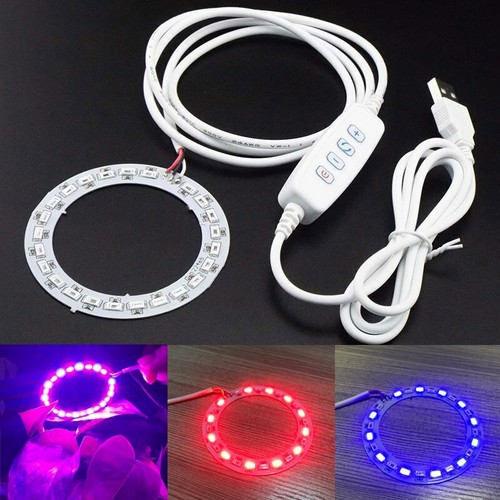 Led angelo anello pianta - led,