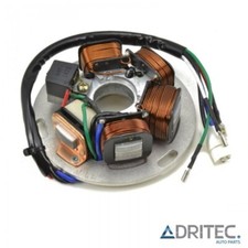 ✅ Alternatore Statore per