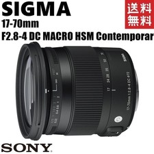 SIGMA 17-70mm F2.8-4 DC MACRO