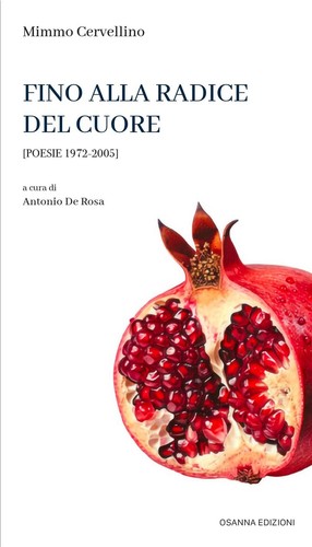Libro mimmo cervellino - libro,