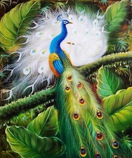 Due pavoni -#1, dipinto olio su tela dipinto a mano 24x20