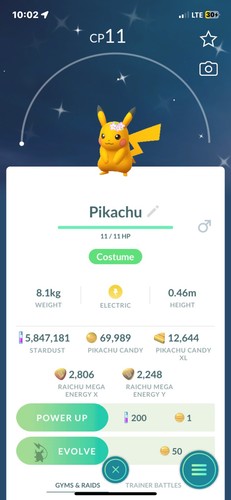 Shiny pikachu celebrazione - |,