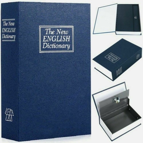 Dizionario segreto libro - dizionario,