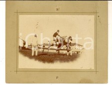 1898 IPPICA SACILE (PN) Cavalli in allenamento per il salto a ostacoli - Foto