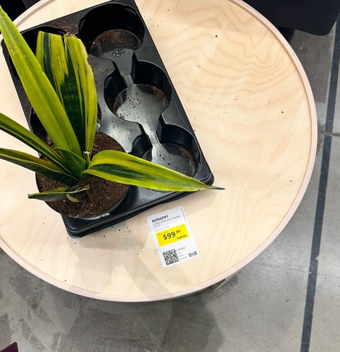 Nuovissimo ikea borgeby caffè - ikea,