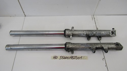 Coppia steli forcella fork - fork, leg