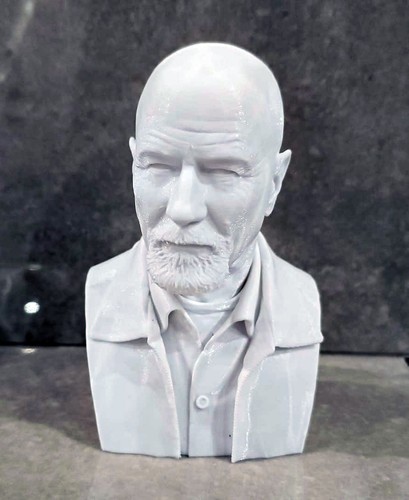 Busto walter white - busto,