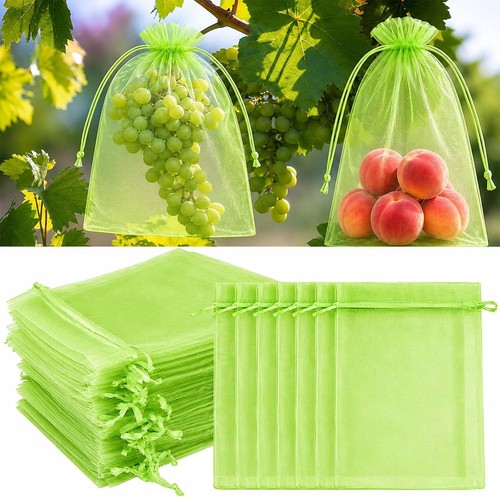 100 pezzi sacchetti - 100,