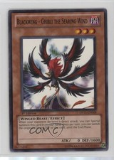 Ala Nera - Ghibli il Vento