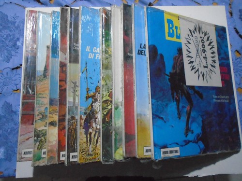 Tenente blueberry nuova - tenente,