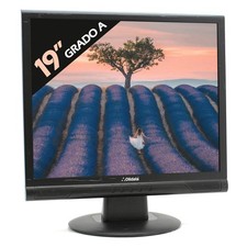 MONITOR SCHERMO DISPLAY LCD OLIDATA MR19F05N 19" 4:3 5:4 VGA VESA GRADO A