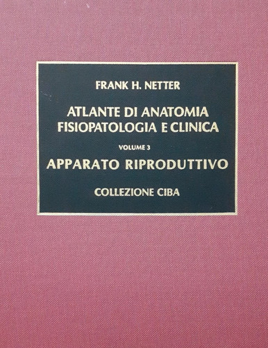 Netter atlante anatomia - netter,