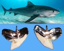 Ciondolo Argento con Dente di