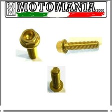 VITE IN ERGAL  ORO 6X25 TESTA