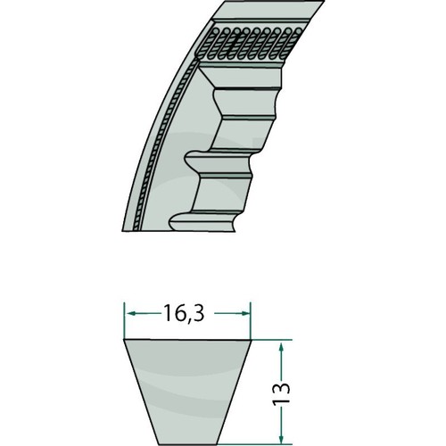 Cinghia trapezoidale sezione