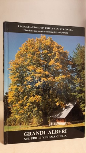 Grandi alberi nel