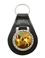 Norfolk Spaniel Di George