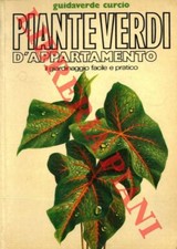 PIZZETTI  - Piante verdi