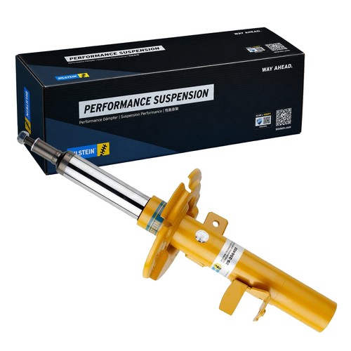 Ammortizzatore pressione gas