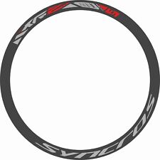 Adesivi Ruote DT Swiss XR