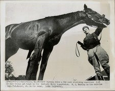 1949 Stampa Foto Corsa Cavallo