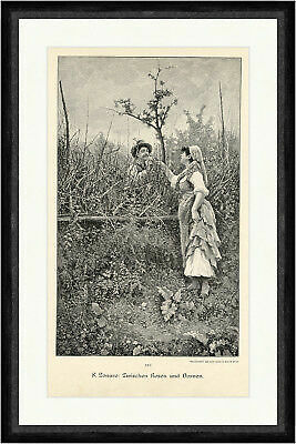 Zonaro tra rose e spine - f.,