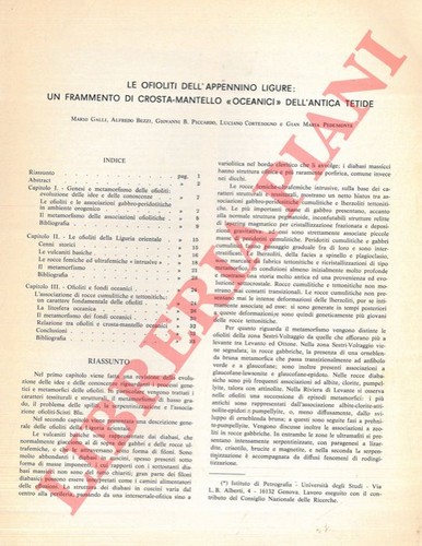 Galli bezzi piccardo - bezzi,