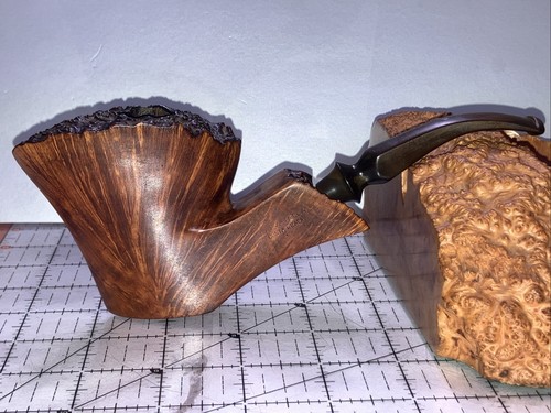 Pipa salvatella costa brava - xl,