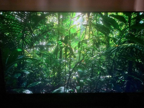 Uq81 led uhd - led, 4k