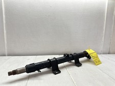 CANNA DELLO STERZO (PIANTONE)