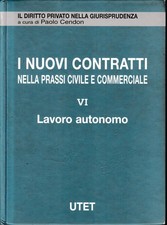 I nuovi contratti nella prassi