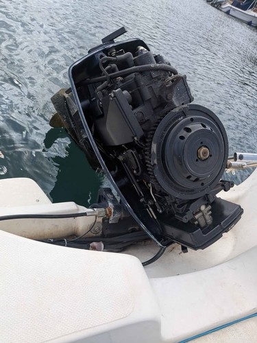 Motore evinrude 737 hp - 737,