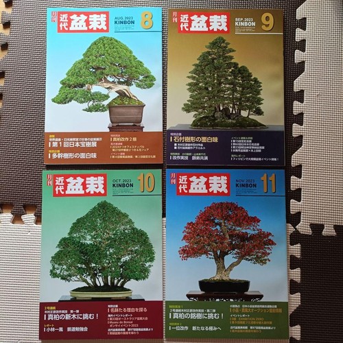 Japanese bonsai magazine - bonsai,