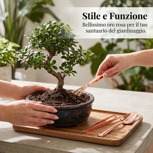 Set attrezzi per bonsai in - attrezzi,