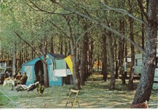 CARTOLINA SIBARI LIDO PINETA E CAMPING EDIZ. CO.MAR 1981 UNICA SU EBAY