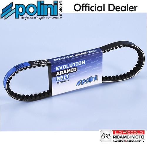 248 031 cinghia variatore - 248.031,
