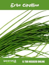 100 SEMI DI ERBA CIPOLLINA –