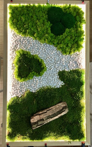 Quadro con verde - quadro, stabilizzato