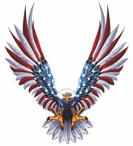 Aigle usa 30cm autocollant - usa,