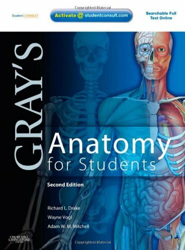 Gray anatomy for - anatomy,