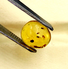 Pietra preziosa sciolta cabochon ambra baltica fossilizzata 100% naturale cer...